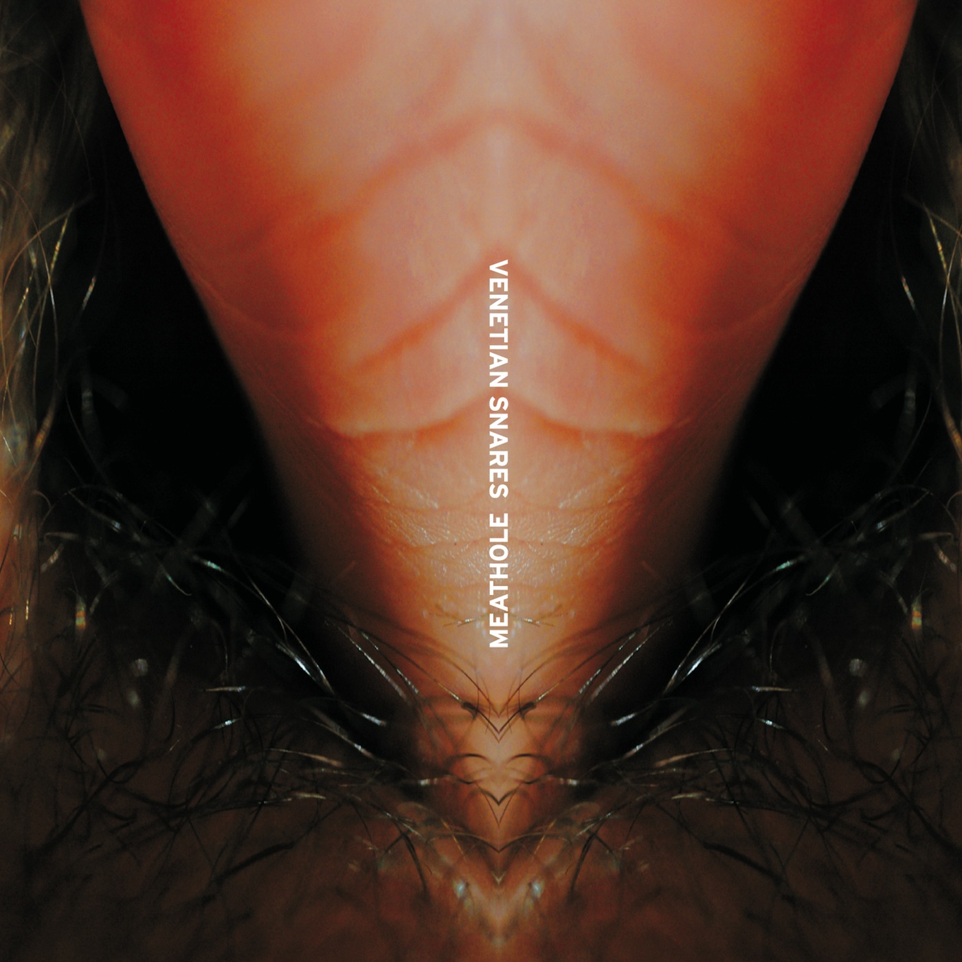 洋楽 venetian snares / CD Venetian Snares – Traditional Synthesizer Music – 2 x Vinyl