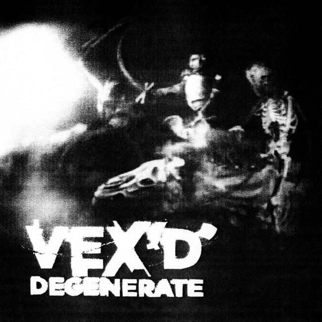 ZIQ115_Vexd_Degenerate