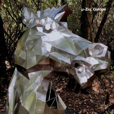 ZIQ464 µ-Ziq - Galope